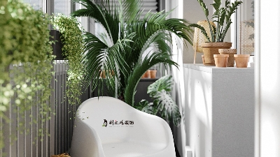 新家去除甲醛，5個簡易妙招助你輕松應(yīng)對！