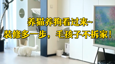 養(yǎng)貓養(yǎng)狗看過(guò)來(lái)！裝修時(shí)多想一步，毛孩子不拆家 ！~